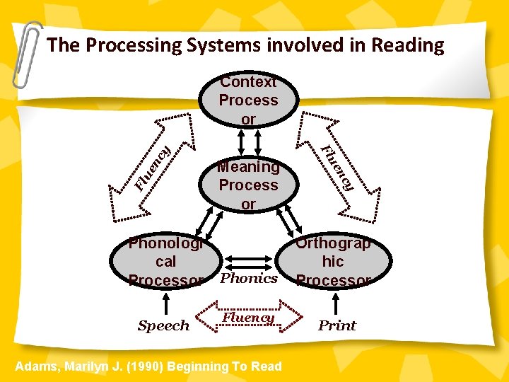 The Processing Systems involved in Reading Fluency Fl ue Adams, Marilyn J. (1990) Beginning