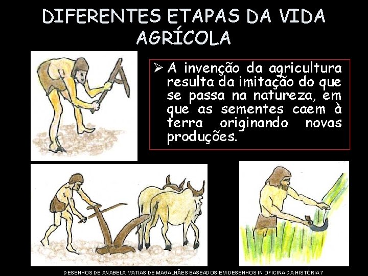 DIFERENTES ETAPAS DA VIDA AGRÍCOLA Ø A invenção da agricultura resulta da imitação do