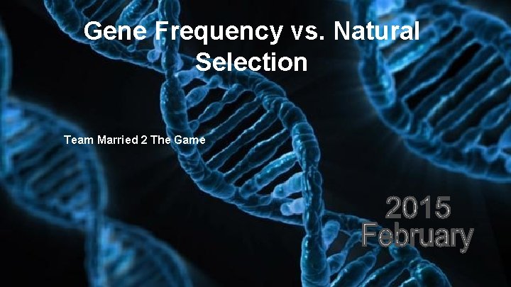 Gene Frequency vs. Natural Selection Team Married 2 The Game 