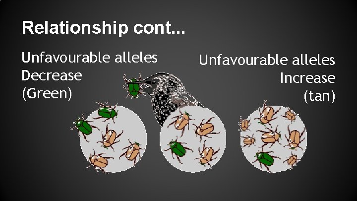 Relationship cont. . . Unfavourable alleles Decrease (Green) Unfavourable alleles Increase (tan) 