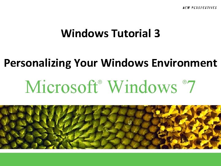 Windows Tutorial 3 Personalizing Your Windows Environment Microsoft Windows 7 ® ® 