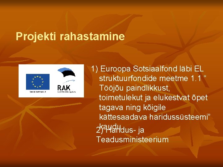 Projekti rahastamine 1) Euroopa Sotsiaalfond läbi EL struktuurfondide meetme 1. 1 “ Tööjõu paindlikkust,