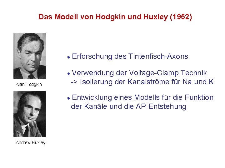 Das Modell von Hodgkin und Huxley (1952) ● Erforschung des Tintenfisch-Axons ● Verwendung Alan