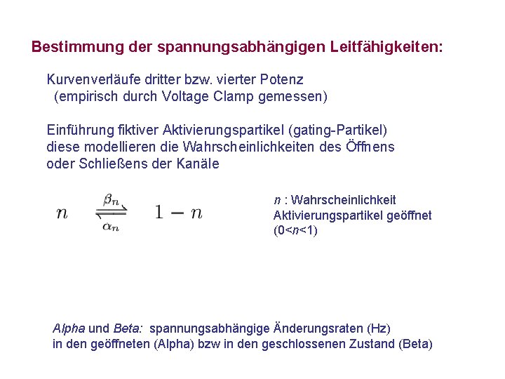 Bestimmung der spannungsabhängigen Leitfähigkeiten: Kurvenverläufe dritter bzw. vierter Potenz (empirisch durch Voltage Clamp gemessen)