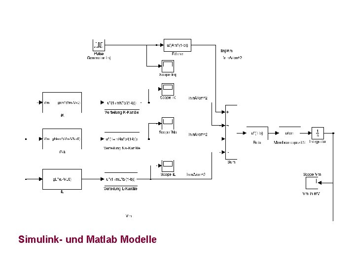 Simulink- und Matlab Modelle 