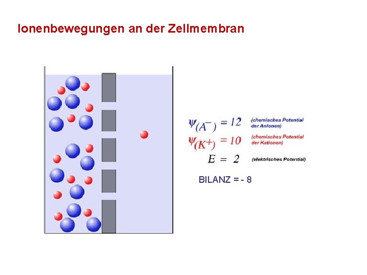 Ionenbewegungen an der Zellmembran BILANZ = - 8 