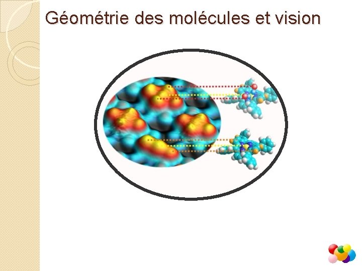 Géométrie des molécules et vision 
