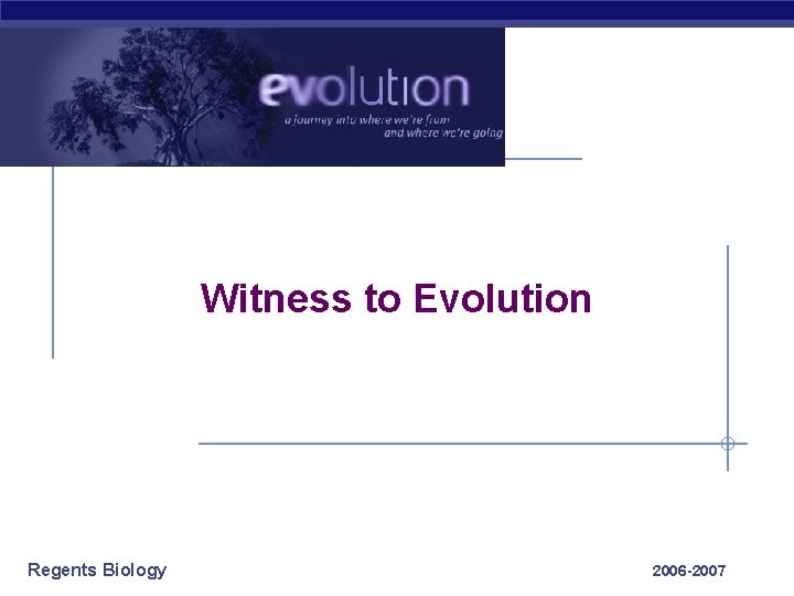 Witness to Evolution Regents Biology 2006 -2007 