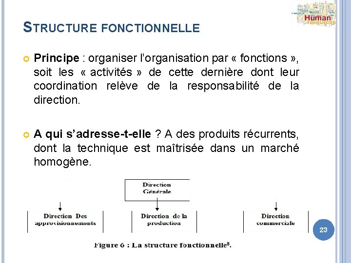 STRUCTURE FONCTIONNELLE Principe : organiser l’organisation par « fonctions » , soit les «