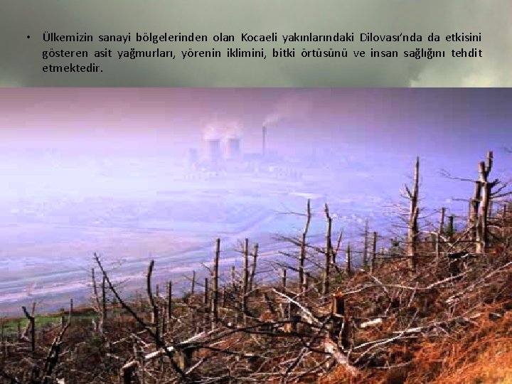  • Ülkemizin sanayi bölgelerinden olan Kocaeli yakınlarındaki Dilovası’nda da etkisini gösteren asit yağmurları,