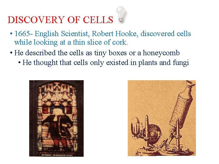 DISCOVERY OF CELLS • 1665 - English Scientist, Robert Hooke, discovered cells while looking