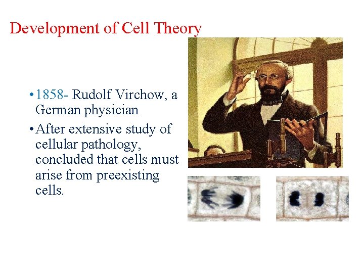 Development of Cell Theory • 1858 - Rudolf Virchow, a German physician • After