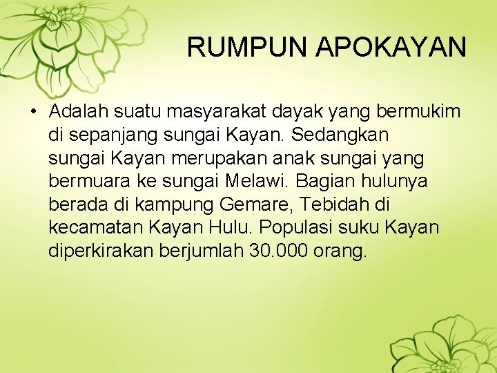 RUMPUN APOKAYAN • Adalah suatu masyarakat dayak yang bermukim di sepanjang sungai Kayan. Sedangkan