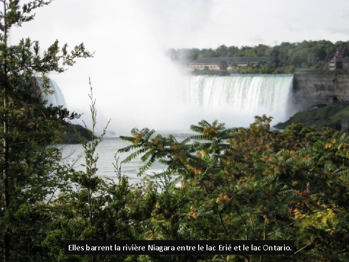 Elles barrent la rivière Niagara entre le lac Erié et le lac Ontario. 