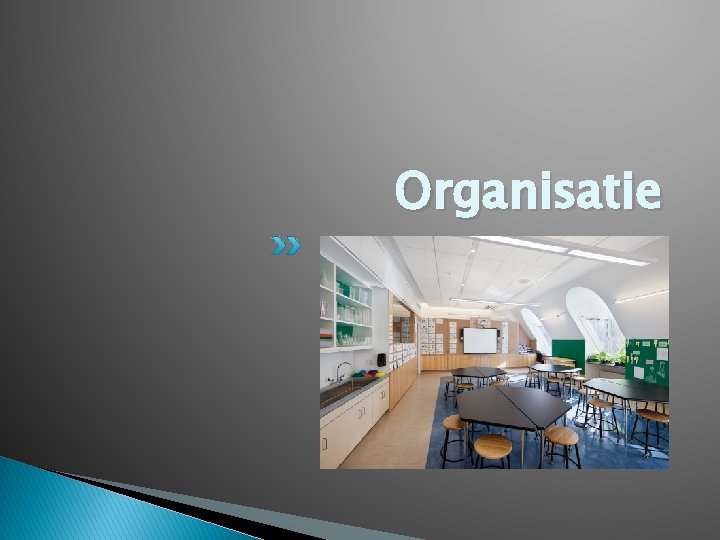 Organisatie Organisatie