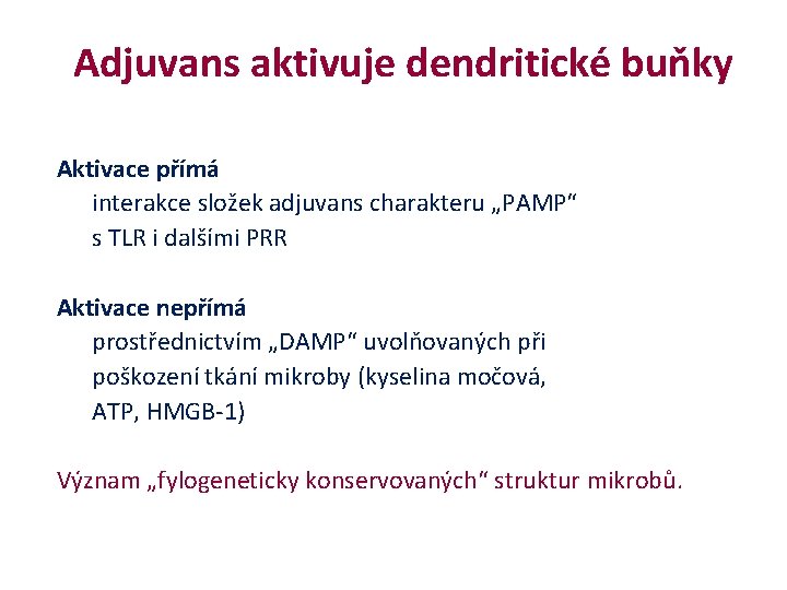  Adjuvans aktivuje dendritické buňky Aktivace přímá interakce složek adjuvans charakteru „PAMP“ s TLR