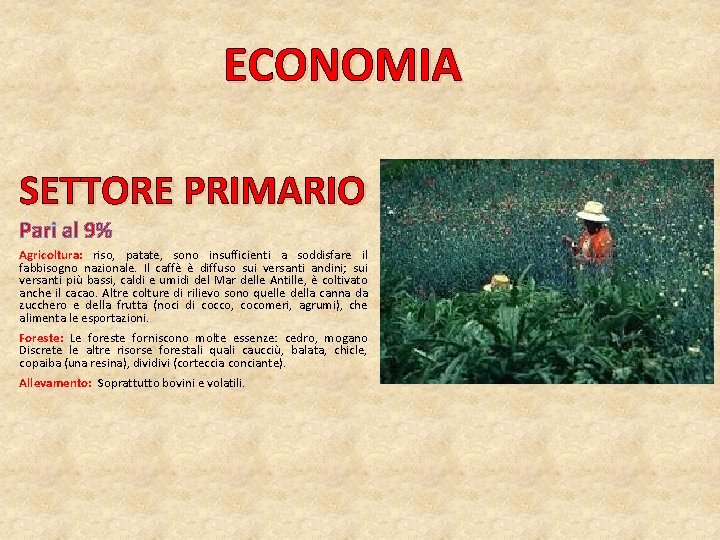 ECONOMIA SETTORE PRIMARIO Pari al 9% Agricoltura: riso, patate, sono insufficienti a soddisfare il ECONOMIA SETTORE PRIMARIO Pari al 9% Agricoltura: riso, patate, sono insufficienti a soddisfare il