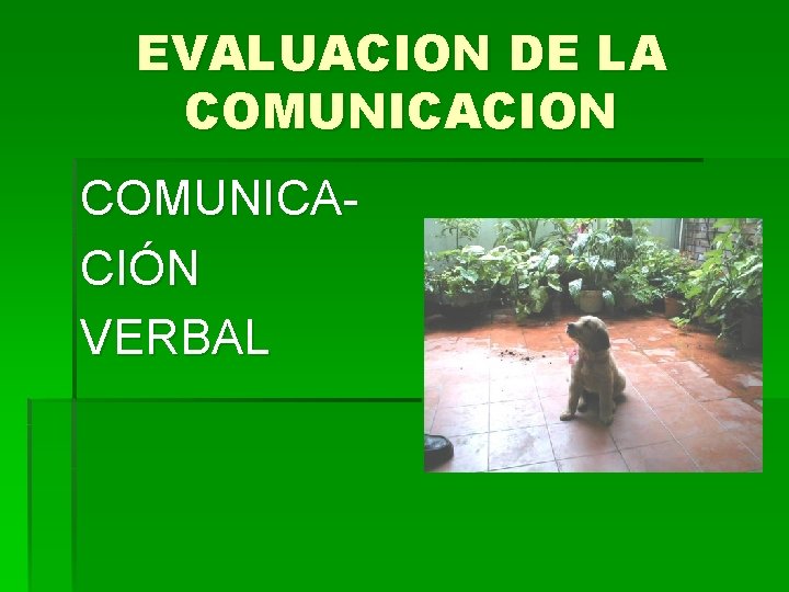 EVALUACION DE LA COMUNICACION COMUNICACIÓN VERBAL 