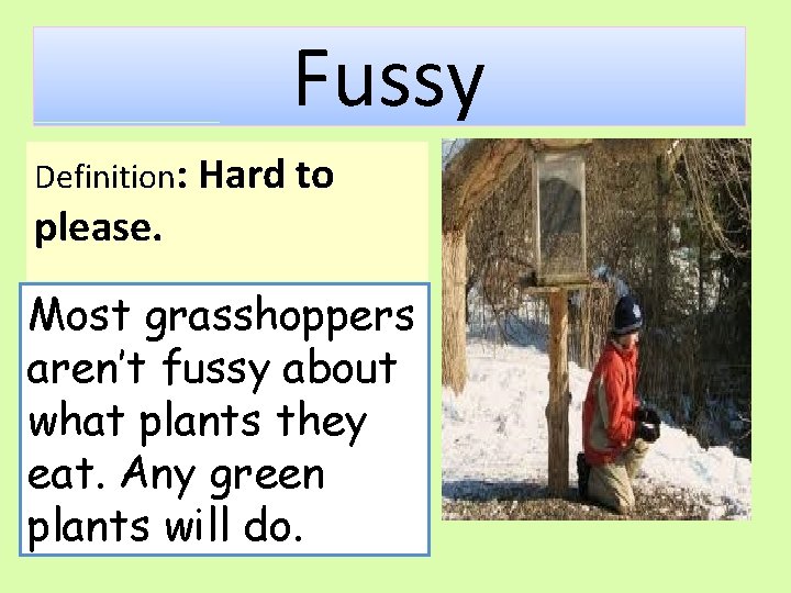 Fussy Definition: Hard to please. Most grasshoppers aren’t fussy about what plants they eat.