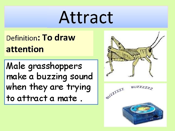 Attract Definition: To draw attention Male grasshoppers make a buzzing sound when they are