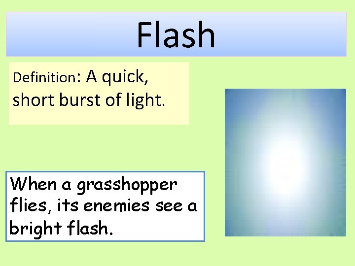 Flash Definition: A quick, short burst of light. When a grasshopper flies, its enemies