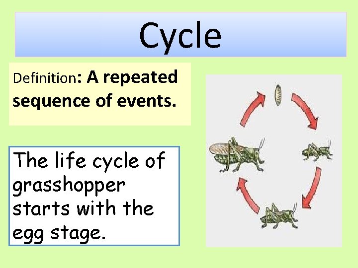 Cycle Definition: A repeated sequence of events. The life cycle of grasshopper starts with