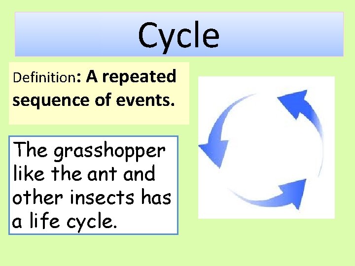 Cycle Definition: A repeated sequence of events. The grasshopper like the ant and other