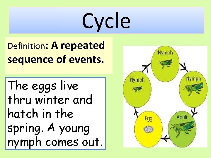 Cycle Definition: A repeated sequence of events. The eggs live thru winter and hatch