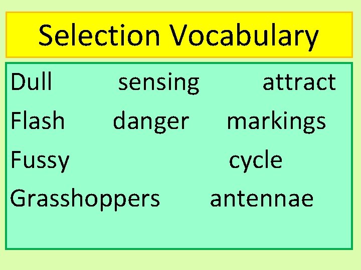 Selection Vocabulary Dull sensing attract Flash danger markings Fussy cycle Grasshoppers antennae 