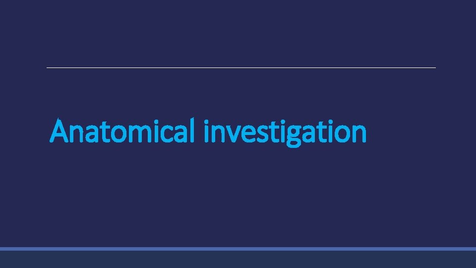 Anatomical investigation 