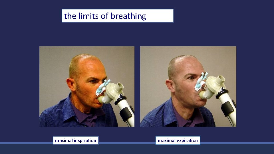 the limits of breathing maximal inspiration maximal expiration 