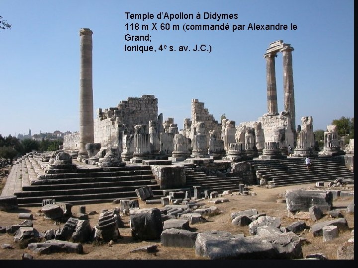Temple d’Apollon à Didymes 118 m X 60 m (commandé par Alexandre le Grand;