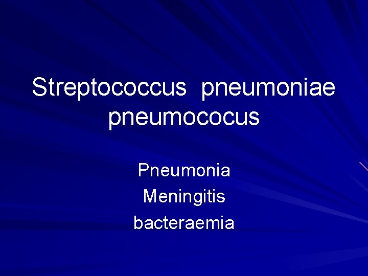 Streptococcus pneumoniae pneumococus Pneumonia Meningitis bacteraemia 