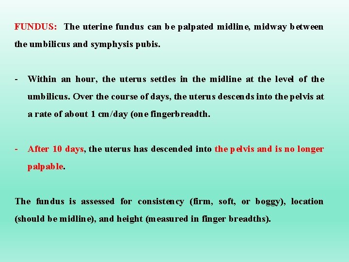 FUNDUS: The uterine fundus can be palpated midline, midway between the umbilicus and symphysis