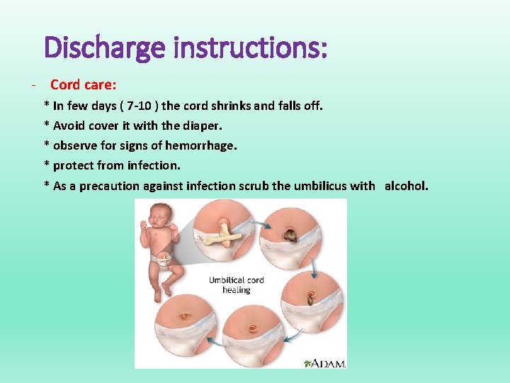 Discharge instructions: - Cord care: * In few days ( 7 -10 ) the