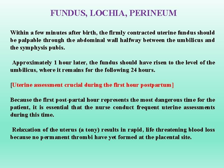 FUNDUS, LOCHIA, PERINEUM Within a few minutes after birth, the firmly contracted uterine fundus