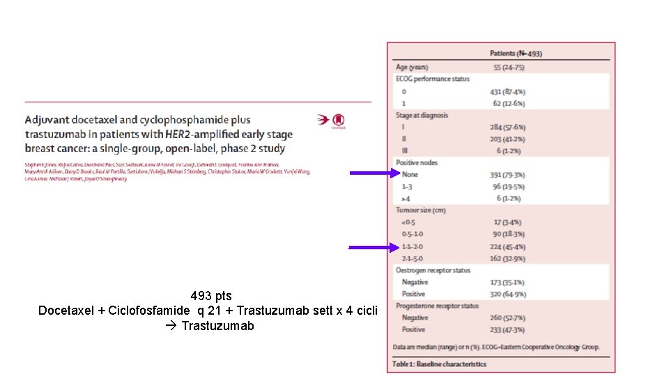 493 pts Docetaxel + Ciclofosfamide q 21 + Trastuzumab sett x 4 cicli Trastuzumab