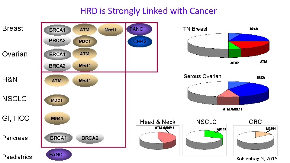 HRD is Strongly Linked with Cancer Breast BRCA 1 ATM BRCA 2 MDC 1