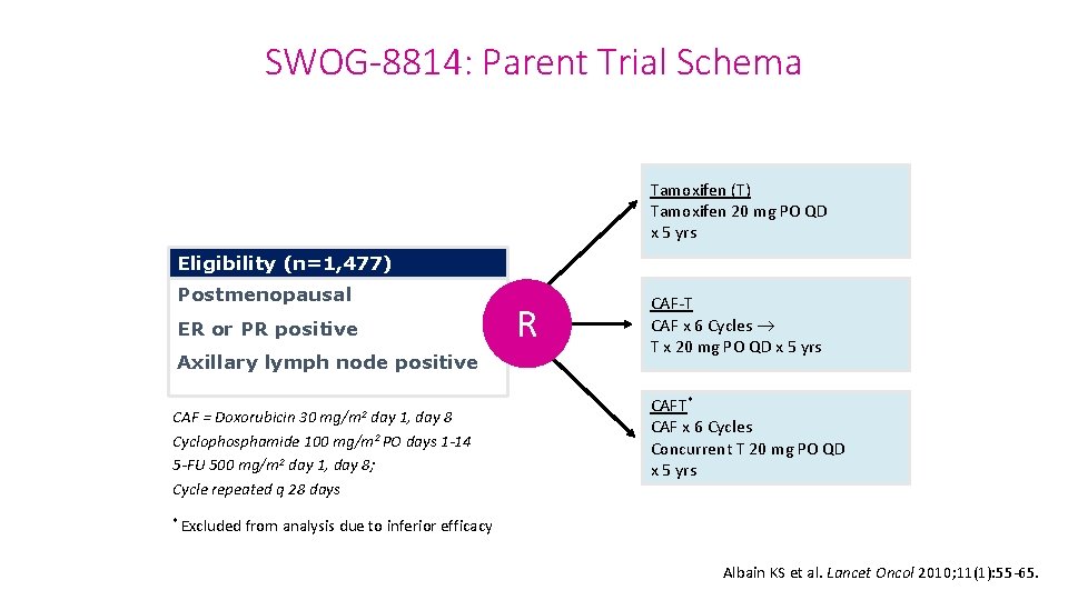 SWOG-8814: Parent Trial Schema Tamoxifen (T) Tamoxifen 20 mg PO QD x 5 yrs