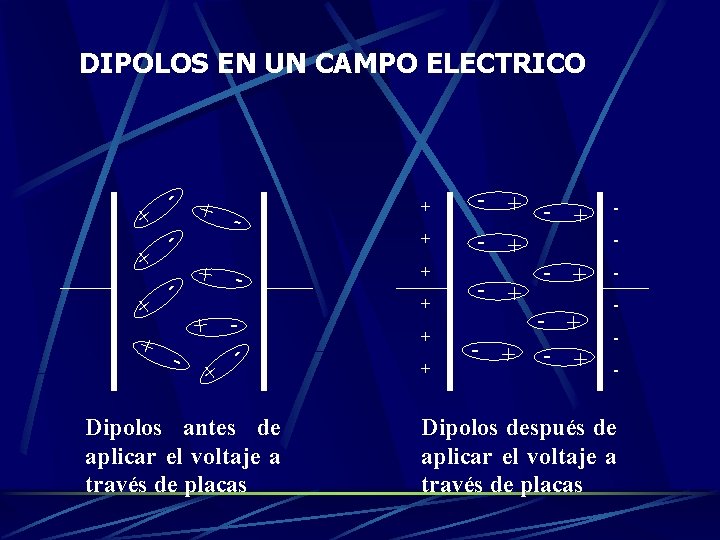 DIPOLOS EN UN CAMPO ELECTRICO + - - + - Dipolos antes de aplicar