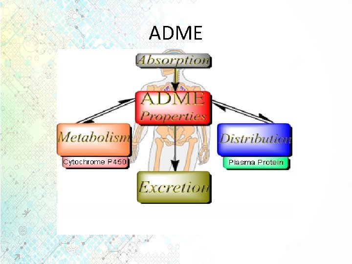 ADME 