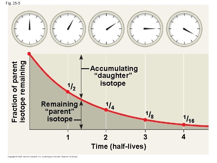 Fraction of parent isotope remaining Fig. 25 -5 1/ 2 Remaining “parent” isotope 1