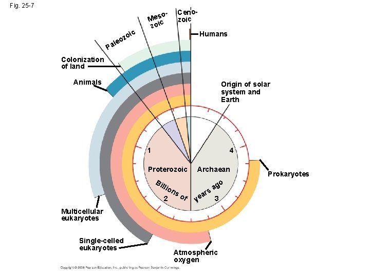 Fig. 25 -7 ic zo o le o. Mesc zoi Cenozoic Humans Pa Colonization