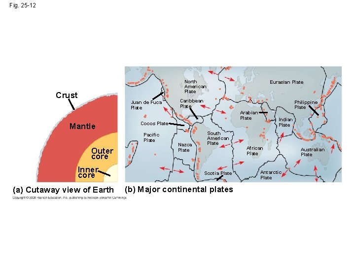 Fig. 25 -12 North American Plate Crust Juan de Fuca Plate Mantle Inner core