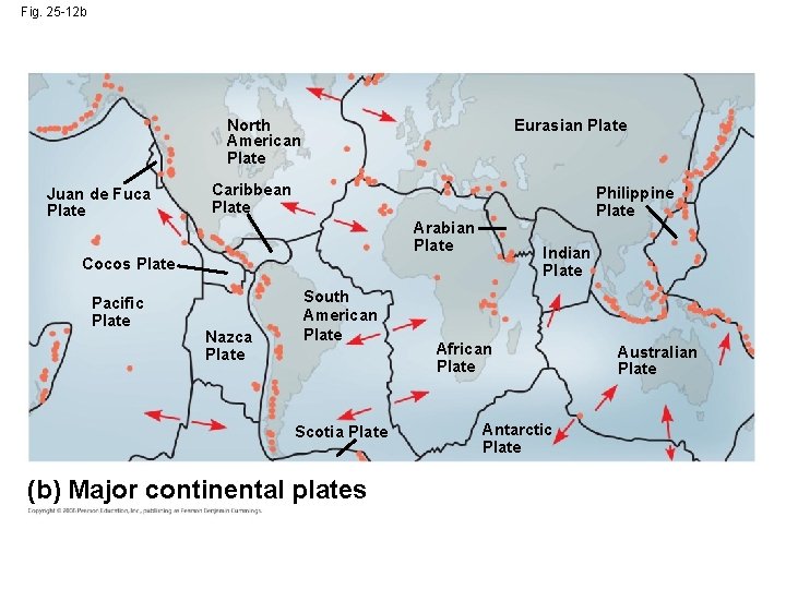 Fig. 25 -12 b North American Plate Juan de Fuca Plate Eurasian Plate Caribbean