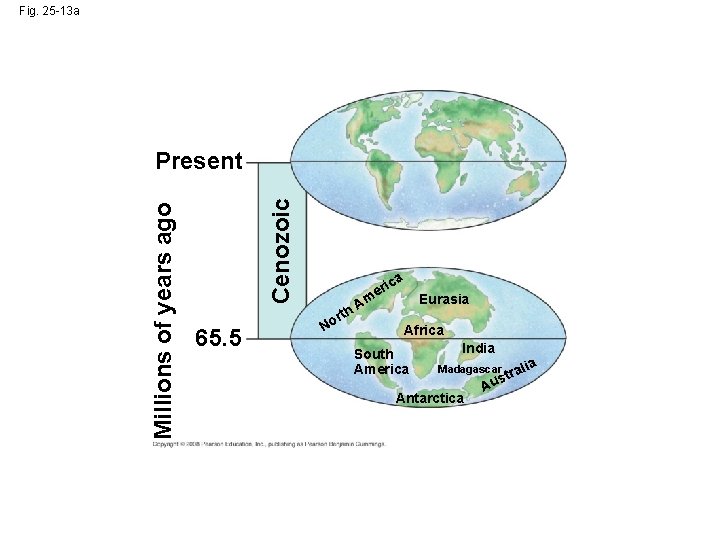 Fig. 25 -13 a Cenozoic Millions of years ago Present 65. 5 a ic