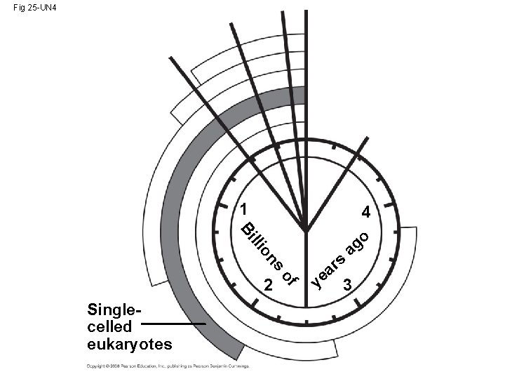 Fig 25 -UN 4 1 4 s on lli Bi Singlecelled eukaryotes of 2