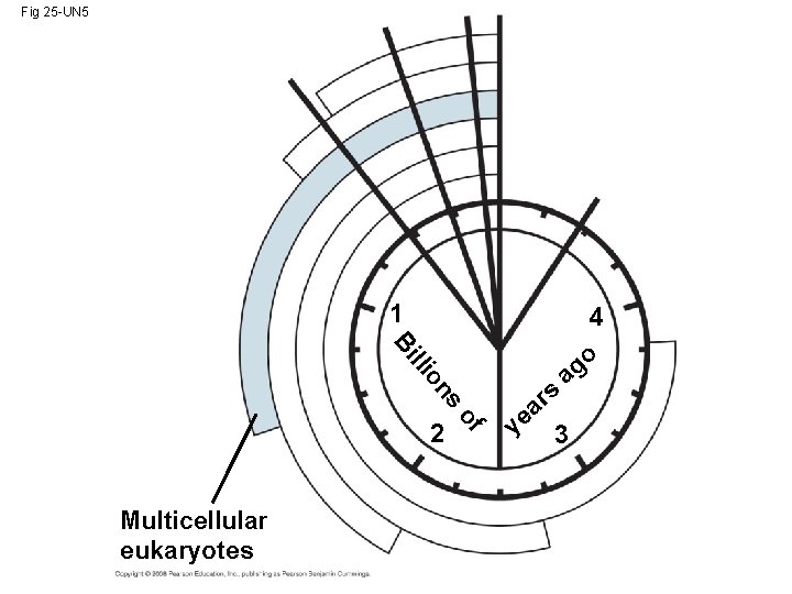 Fig 25 -UN 5 1 4 s on lli Bi Multicellular eukaryotes of 2