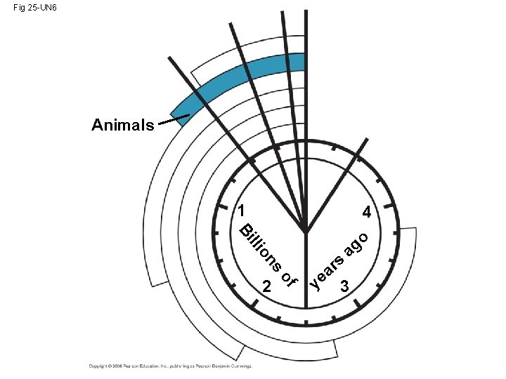 Fig 25 -UN 6 Animals 1 4 s on lli Bi of 2 o