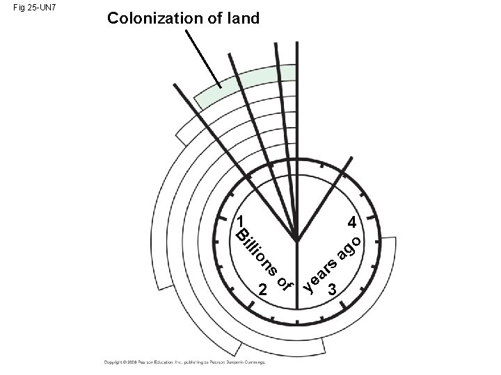 Fig 25 -UN 7 Colonization of land 1 s on lli Bi of 2